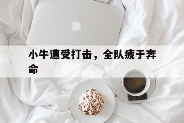 关于小牛遭受打击，全队疲于奔命的信息